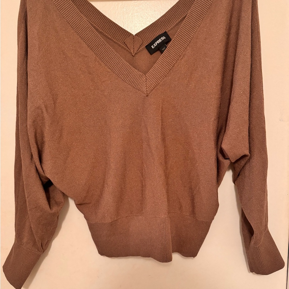 Express Women's Brown Sweater